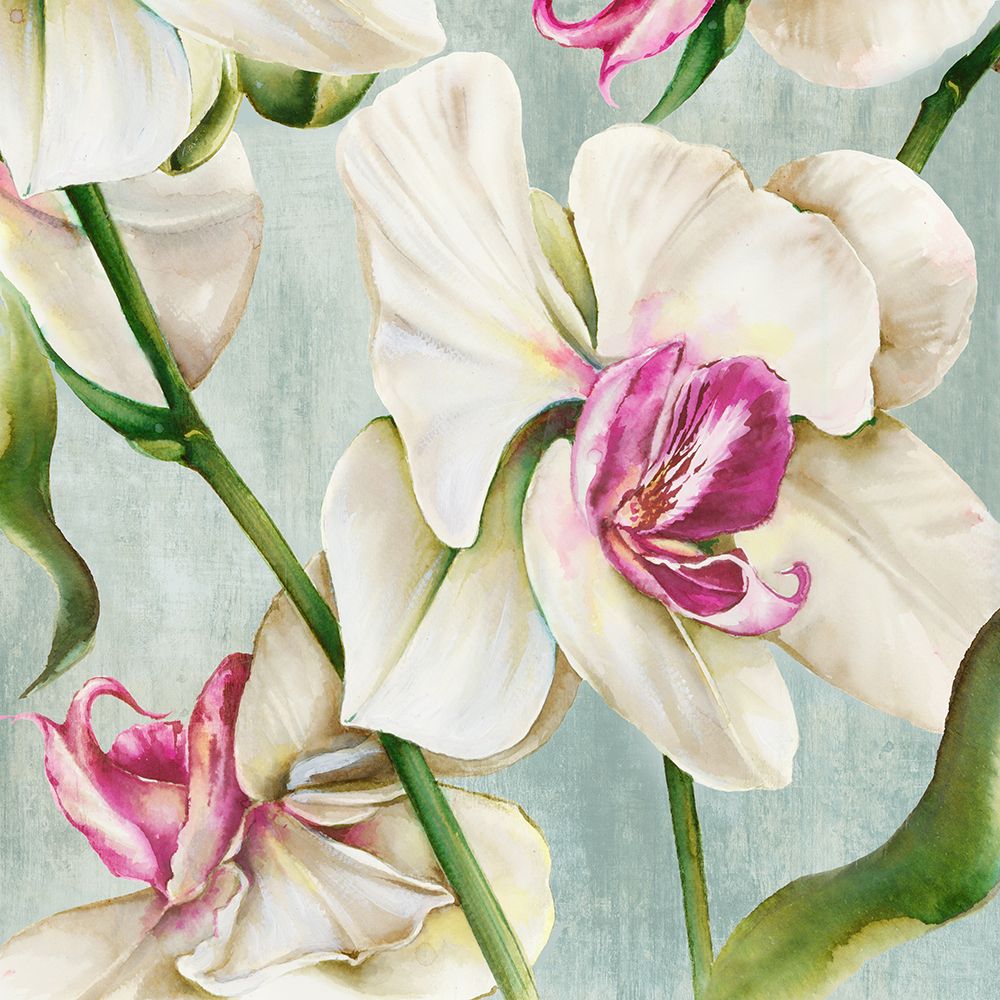 Orchid Pink art print by Alex Black for $57.95 CAD