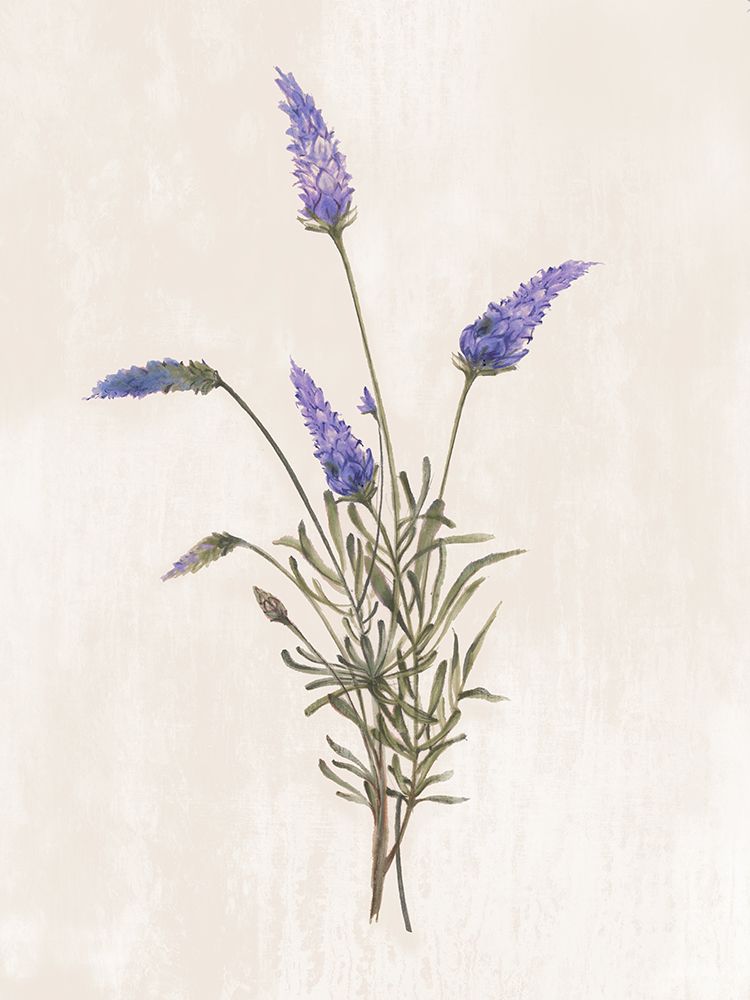 Wild Botanical I art print by Alex Black for $57.95 CAD