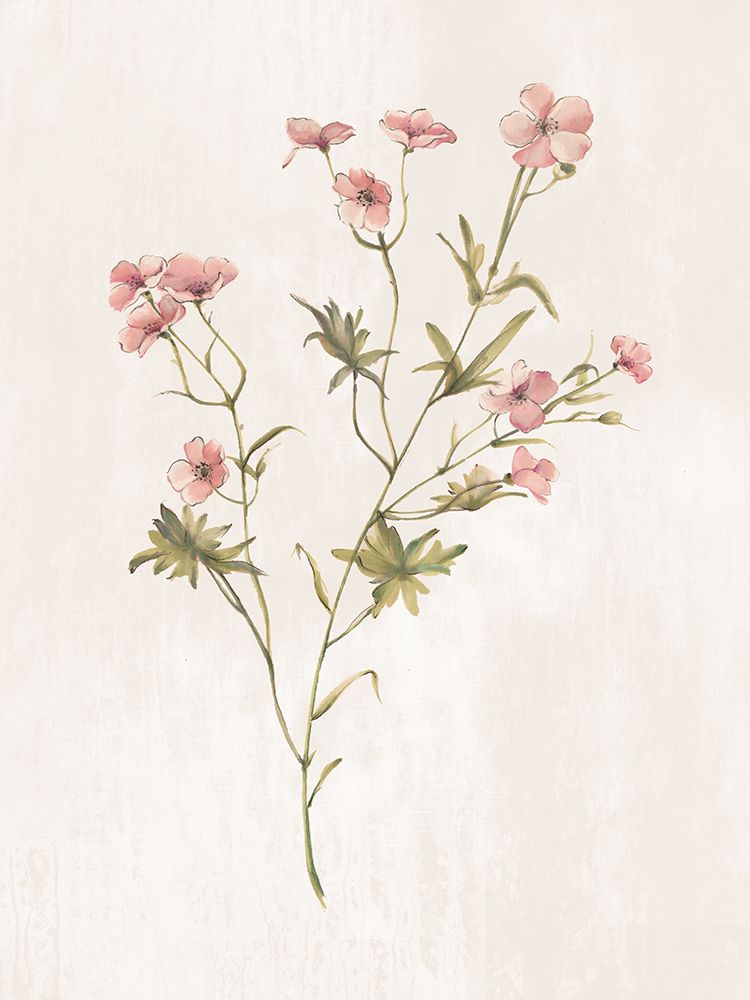 Wild Botanical II art print by Alex Black for $57.95 CAD