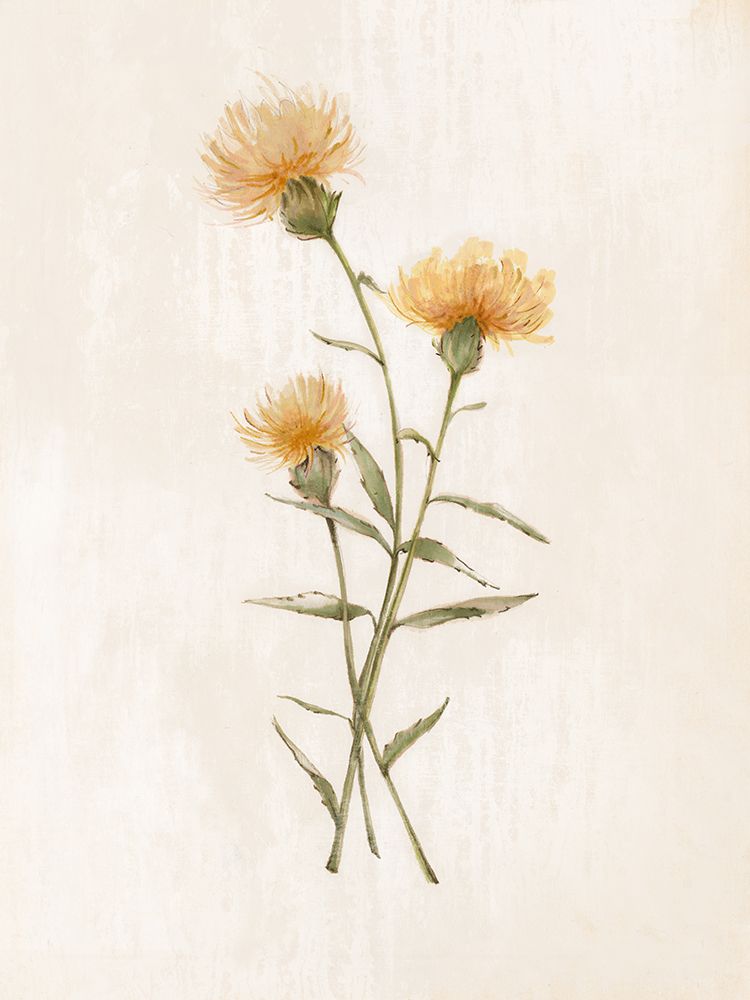 Wild Botanical III art print by Alex Black for $57.95 CAD