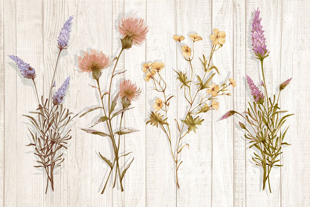 Wild Picks art print by Alex Black for $57.95 CAD