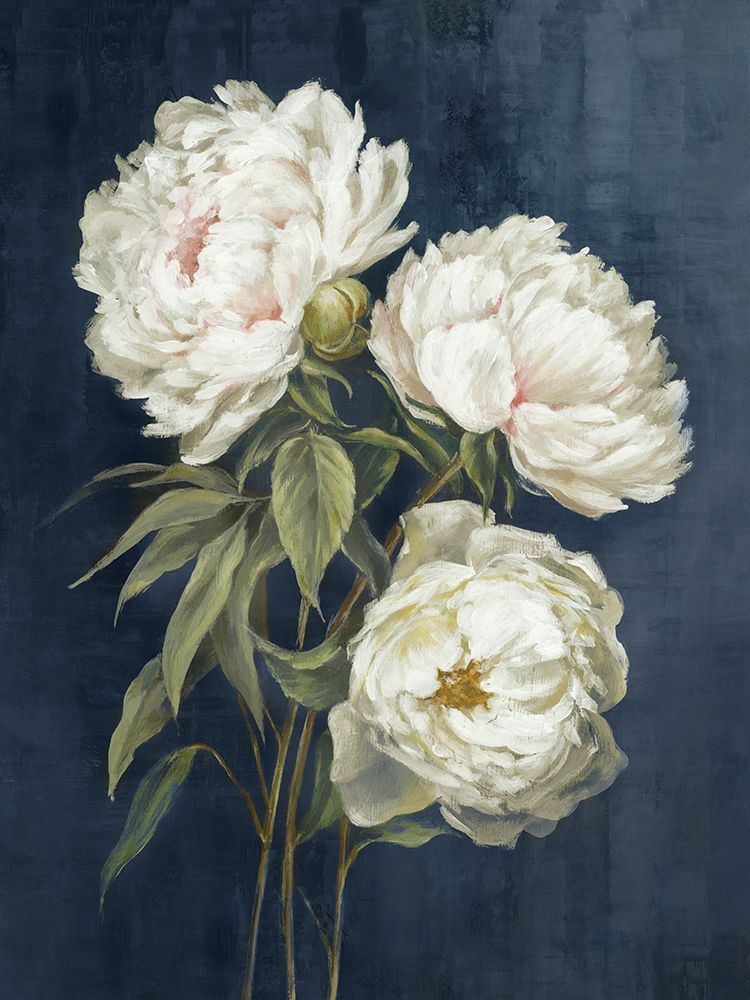 Vintage Peony art print by Alex Black for $57.95 CAD