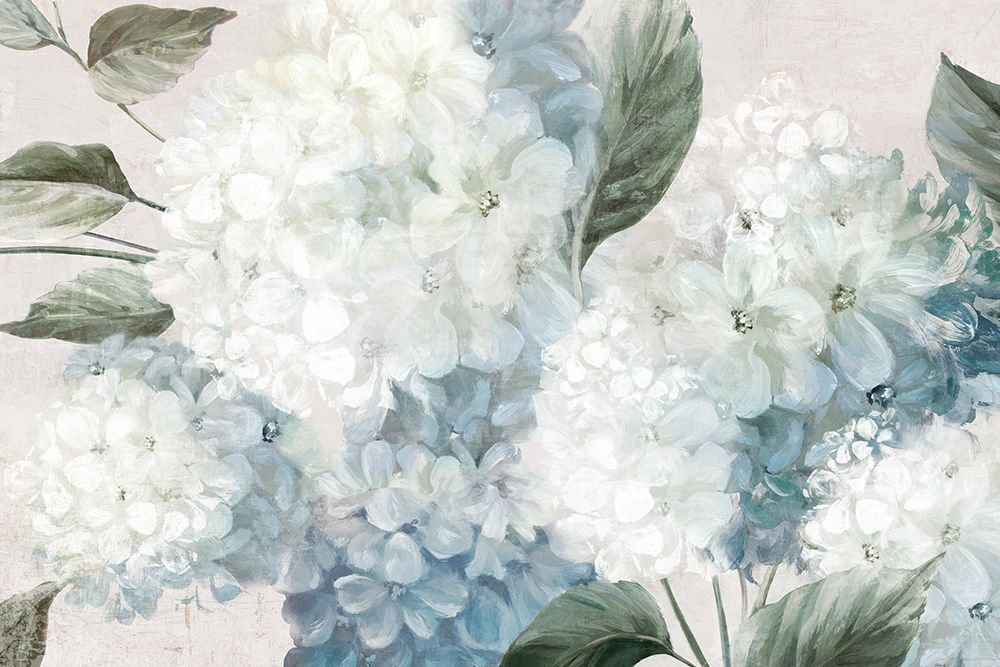 Heartfelt Hydrangeas art print by Alex Black for $57.95 CAD