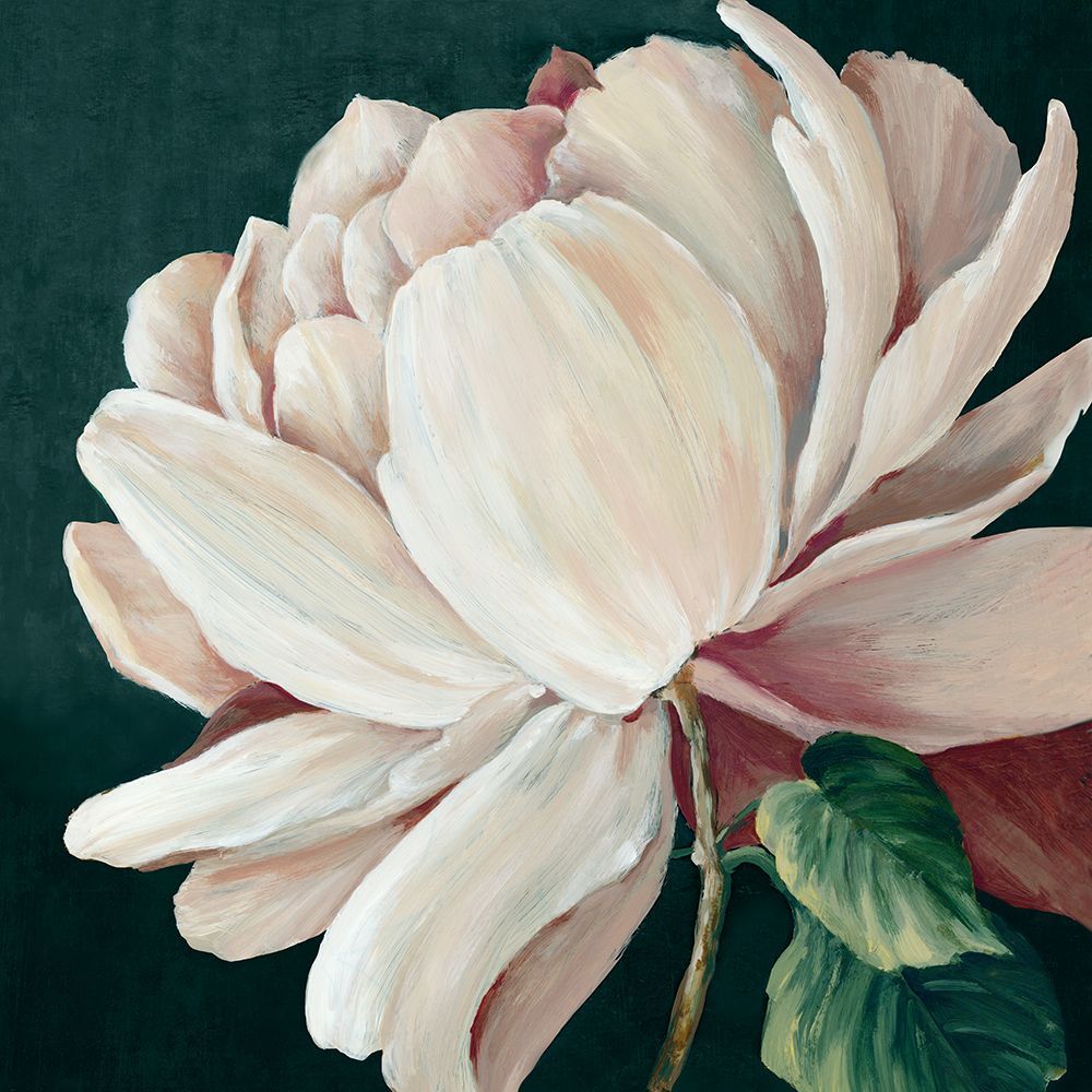 Heart of the Bloom art print by Alex Black for $57.95 CAD