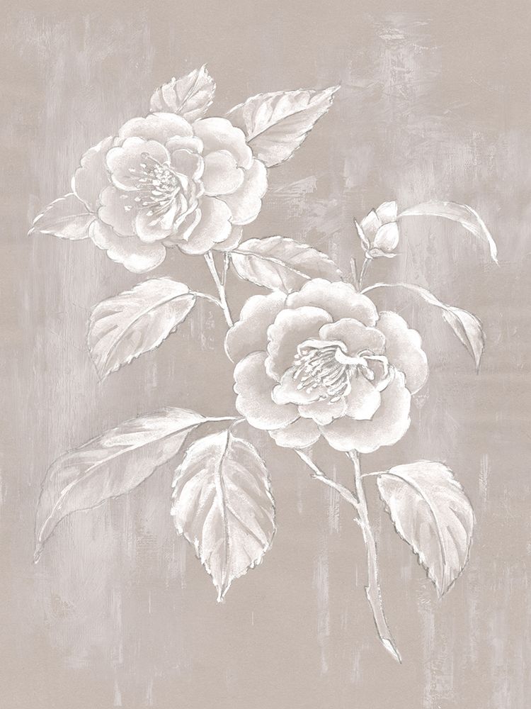 Delicate Blossoms on Neutral Canvas I art print by Alex Black for $57.95 CAD