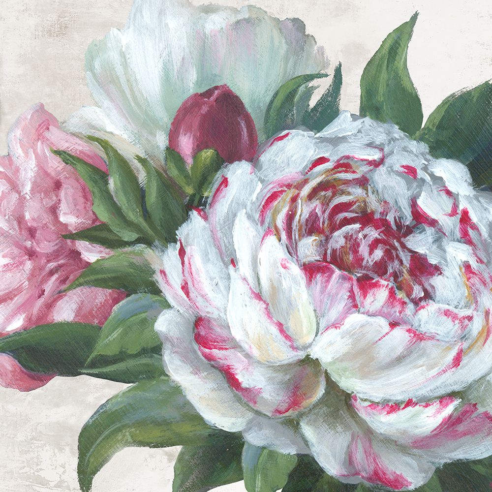 Peony Blossoms in Gentle Bloom art print by Alex Black for $57.95 CAD