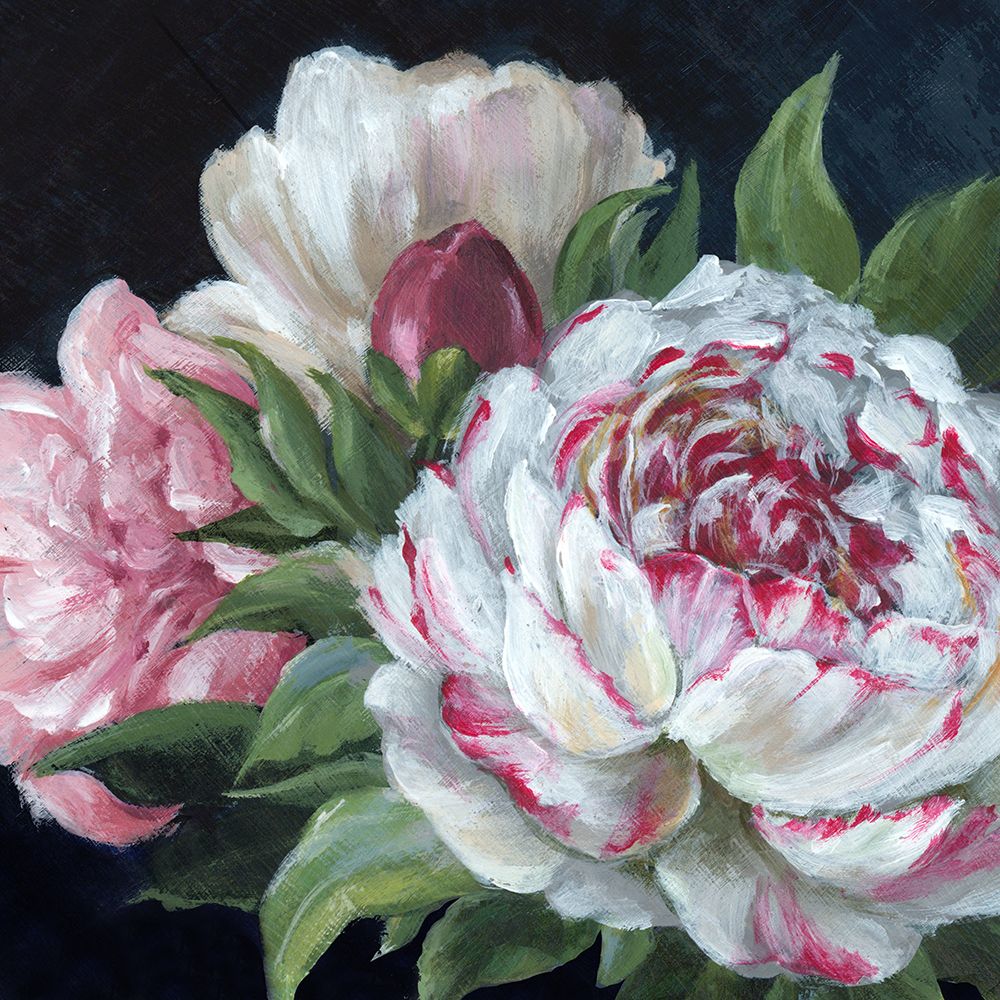 Peonies in Full Bloom I art print by Alex Black for $57.95 CAD