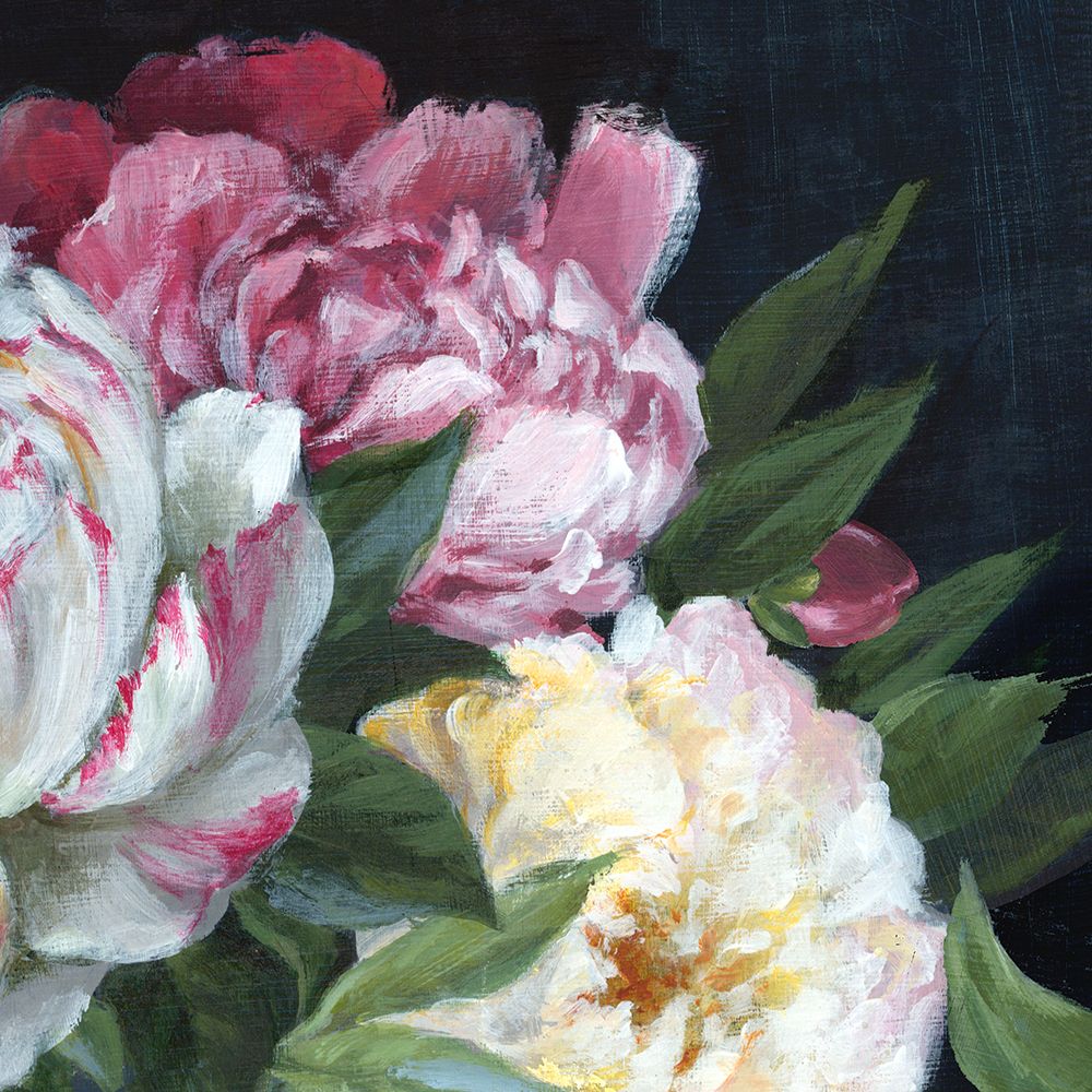 Peonies in Full Bloom II art print by Alex Black for $57.95 CAD