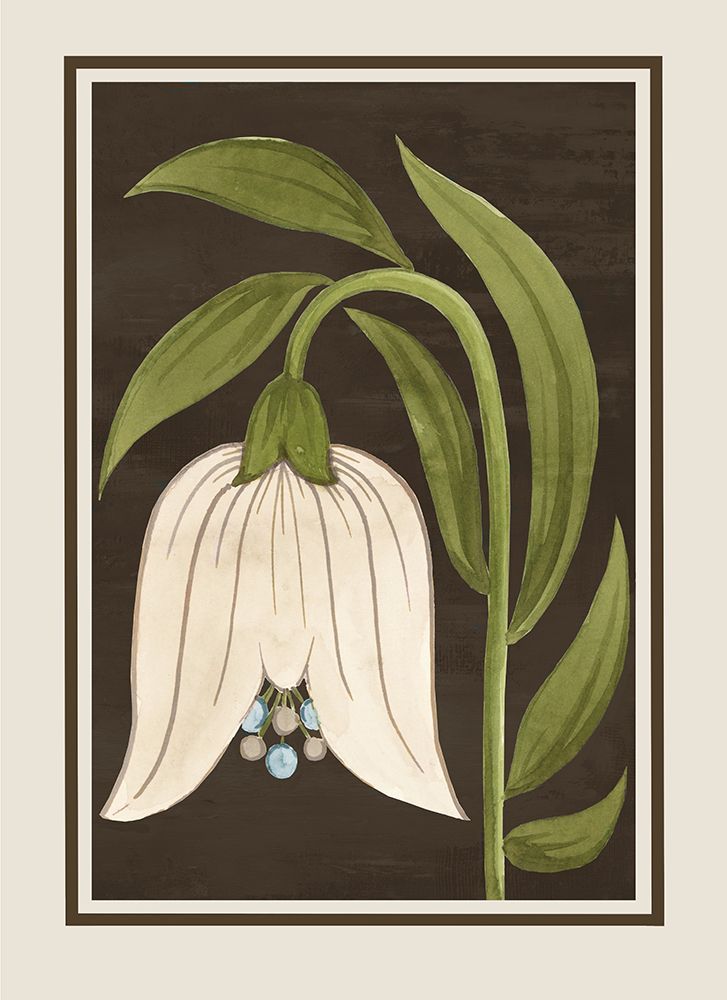 Decorative Bellflower and Leaves art print by Alex Black for $57.95 CAD