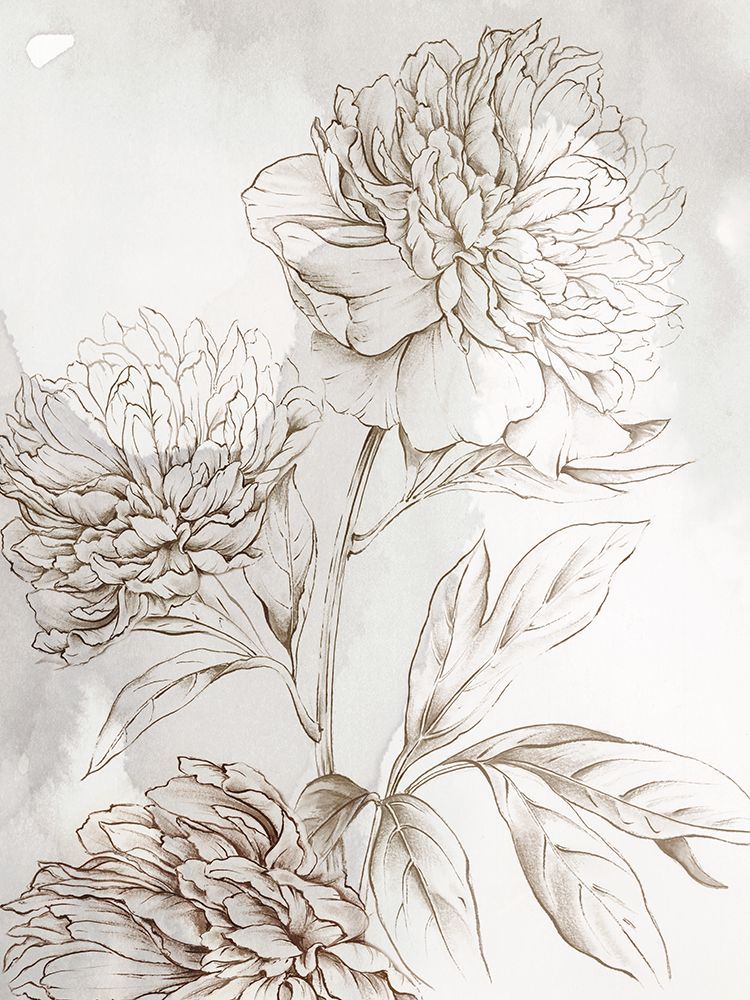 Delicate Blooms on Soft Canvas art print by Alex Black for $57.95 CAD