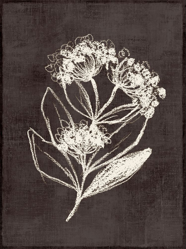 Chalk Blooms on Dark Canvas art print by Alex Black for $57.95 CAD