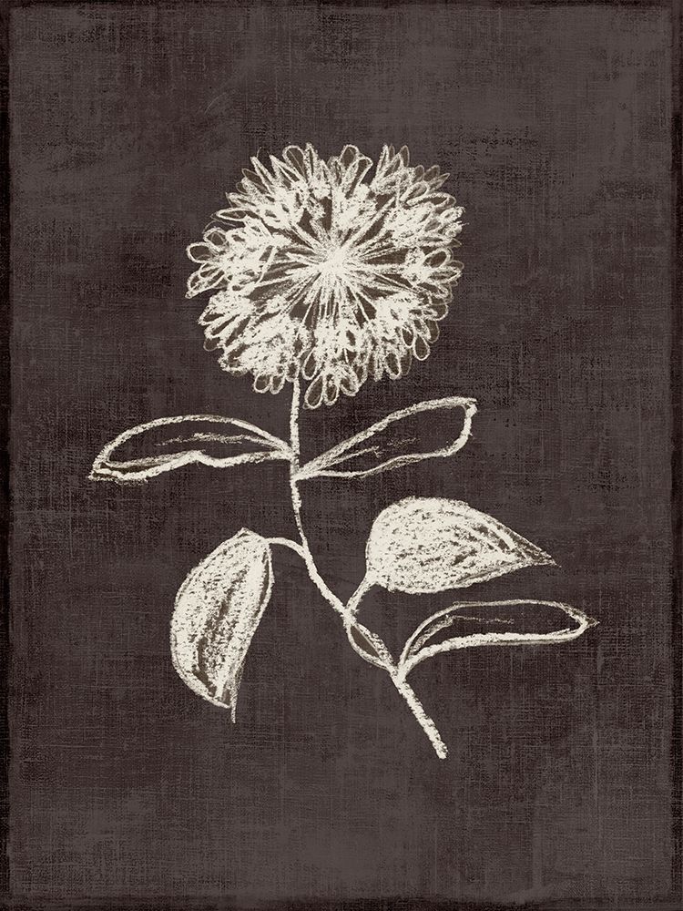 Chalk Blossom on Dark Canvas art print by Alex Black for $57.95 CAD