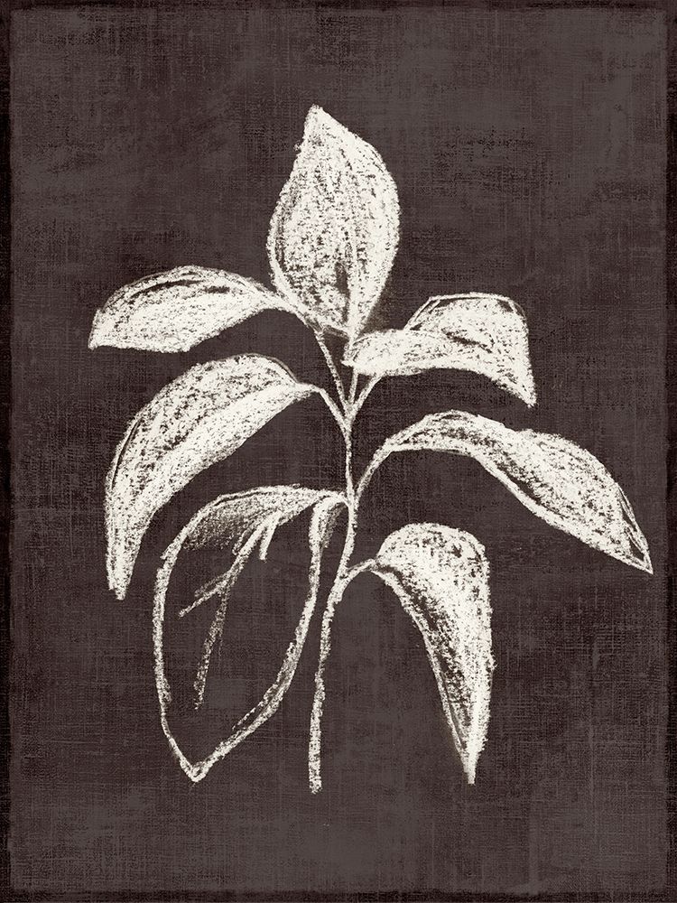 Chalk Leaf on Dark Canvas art print by Alex Black for $57.95 CAD