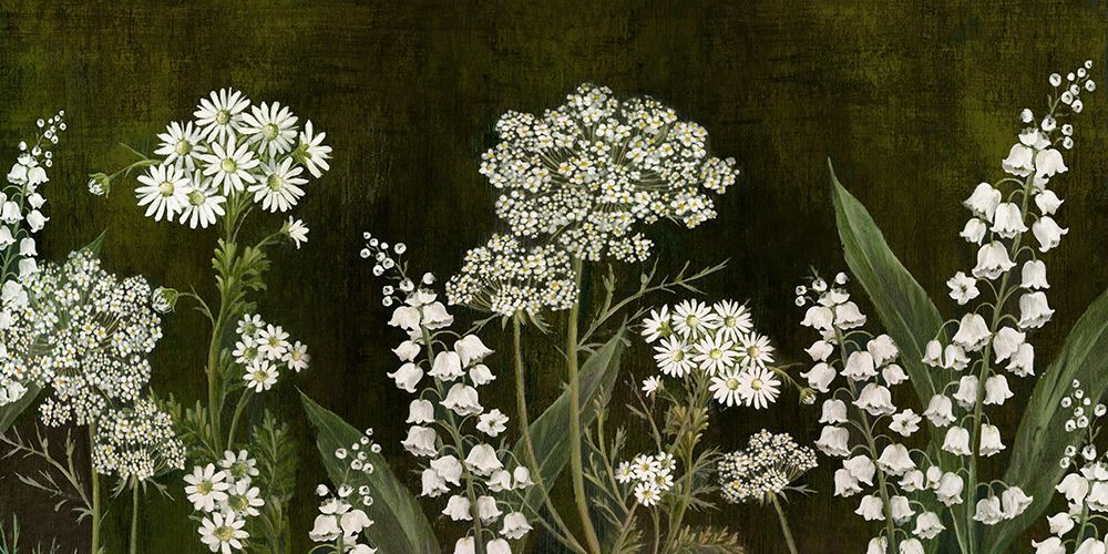 White Wild Flower Blooms art print by Alex Black for $57.95 CAD