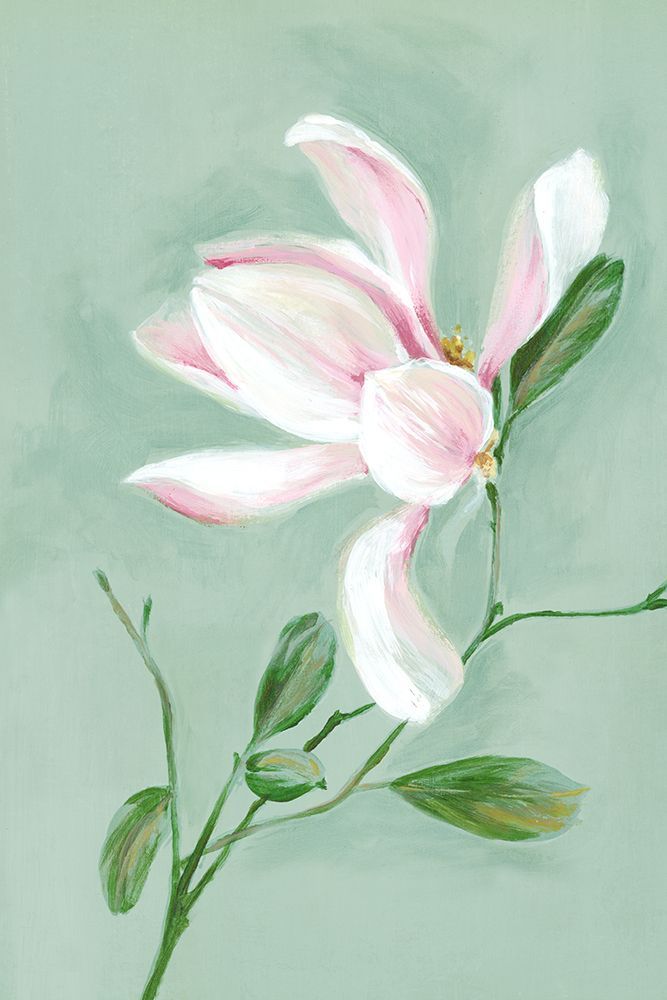 White Tranquil Magnolia art print by Alex Black for $57.95 CAD