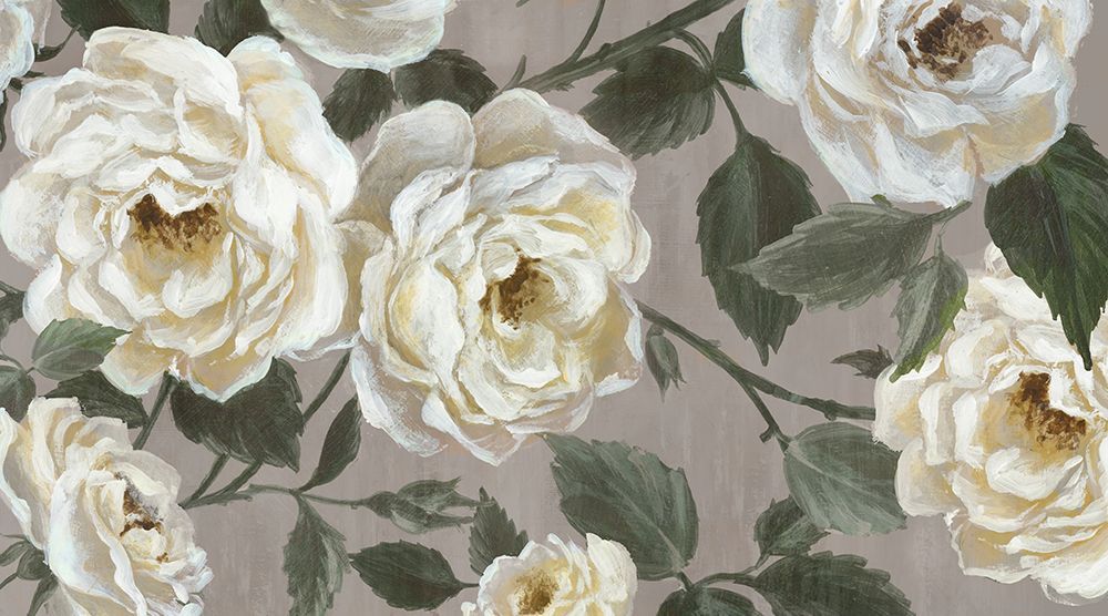 Delicate White Flower Blooms art print by Alex Black for $57.95 CAD