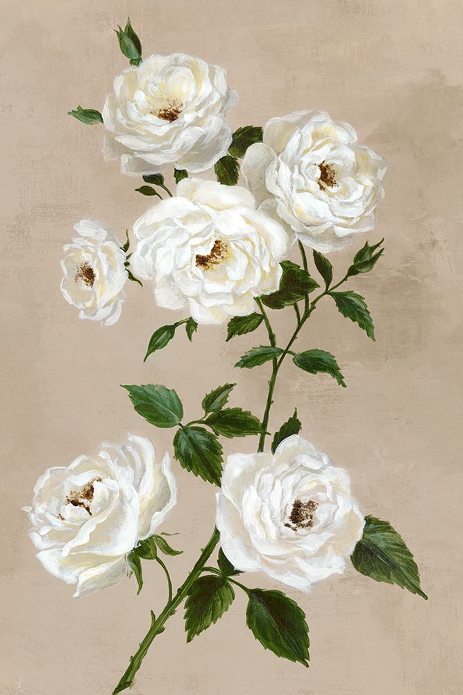 White Flowers on Beige art print by Alex Black for $57.95 CAD