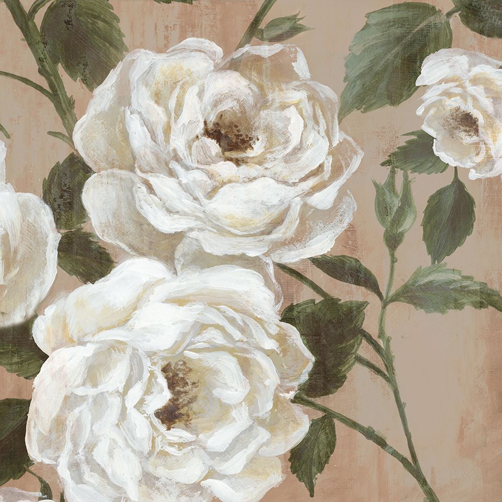 White Roses on Beige I art print by Alex Black for $57.95 CAD