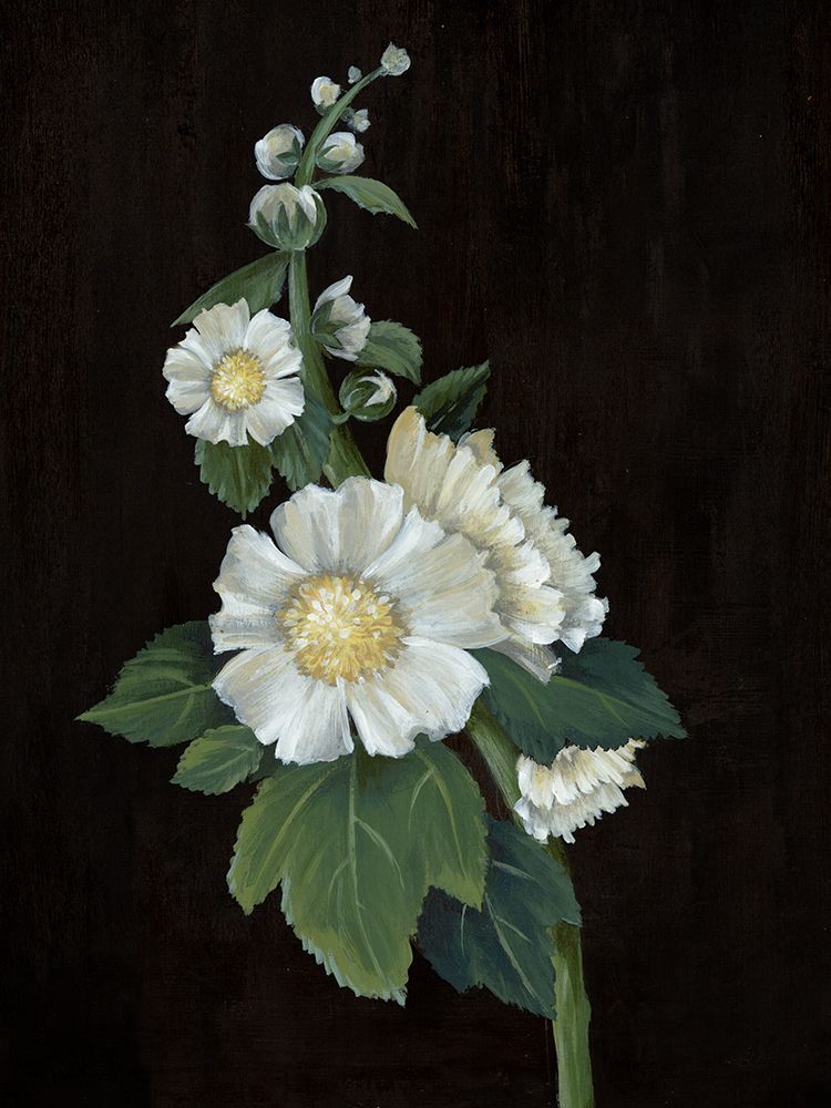 White flowers on Black II art print by Alex Black for $57.95 CAD