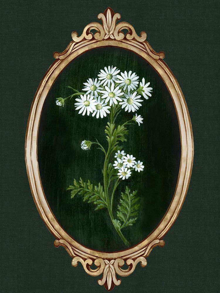 Framed Beauty II art print by Alex Black for $57.95 CAD