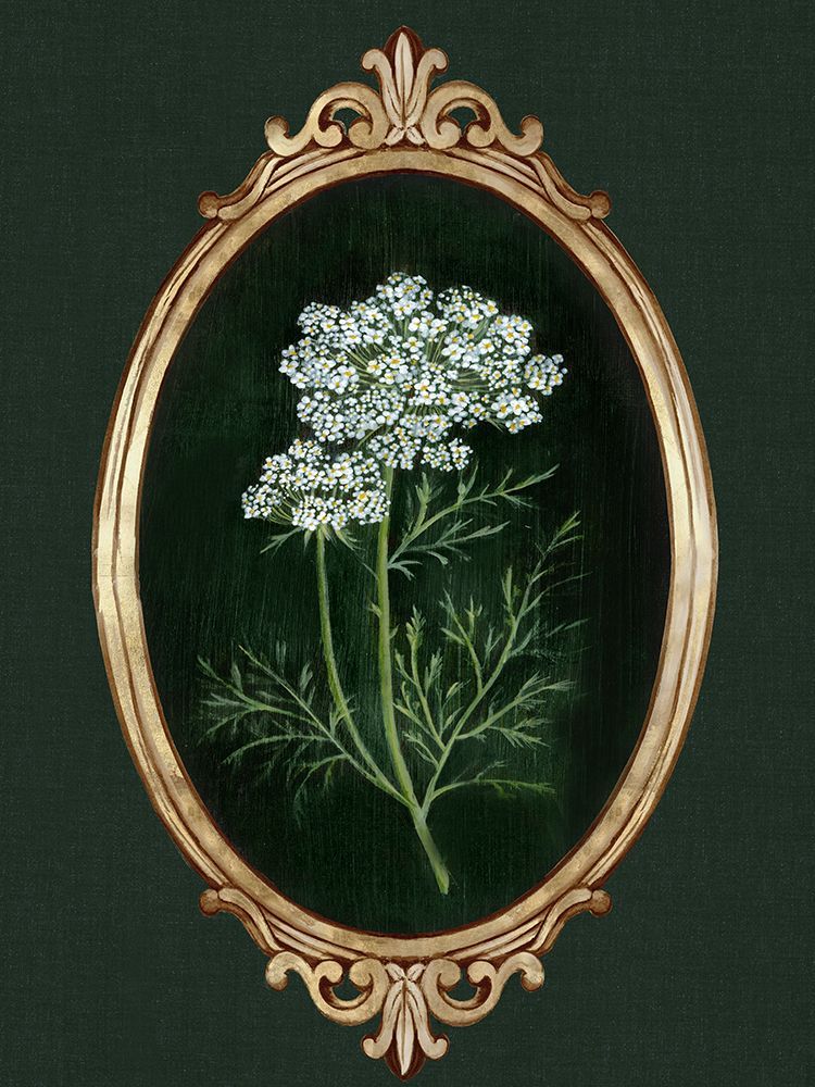Framed Beauty III art print by Alex Black for $57.95 CAD