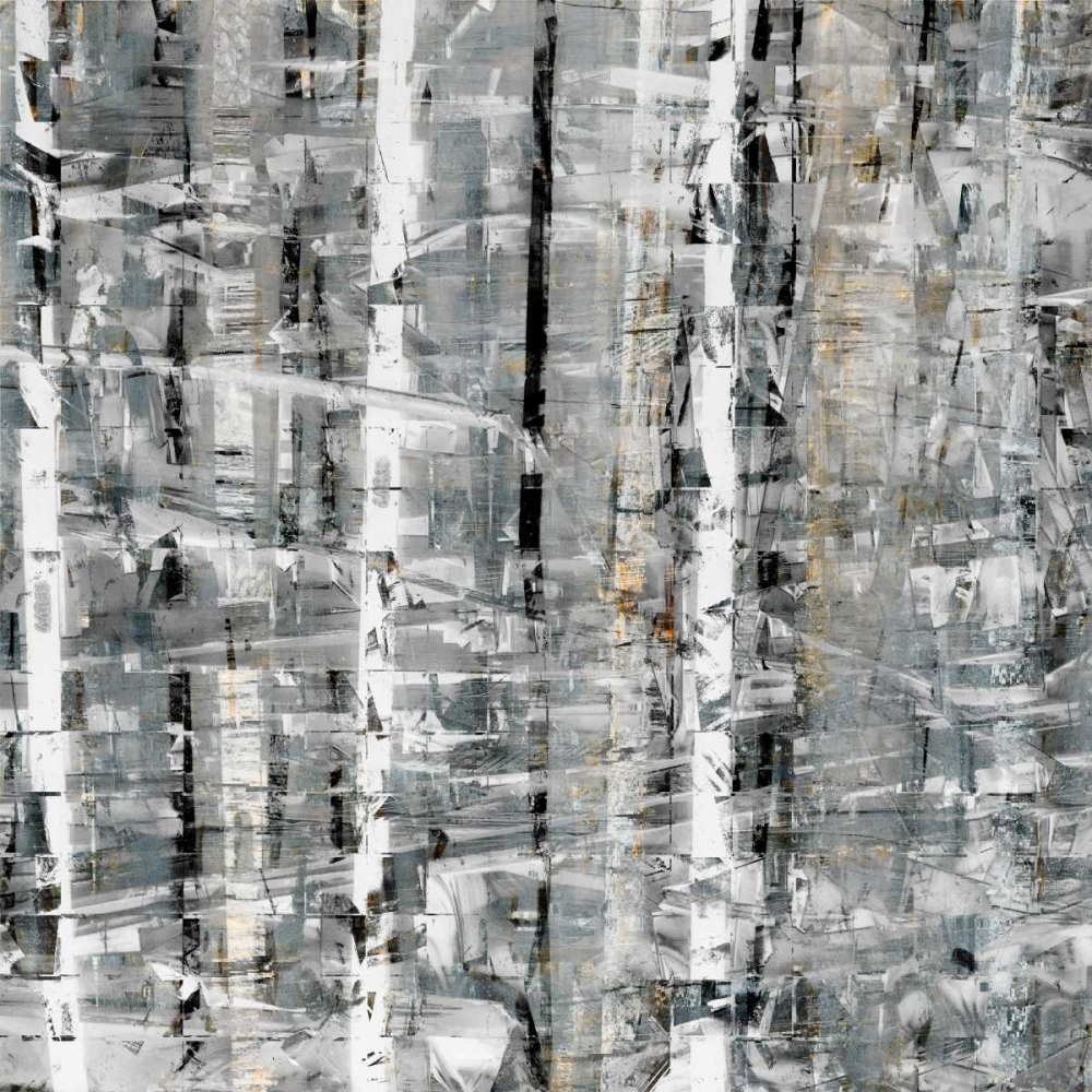 Birch Perspective Grey I art print by John Bingham for $57.95 CAD