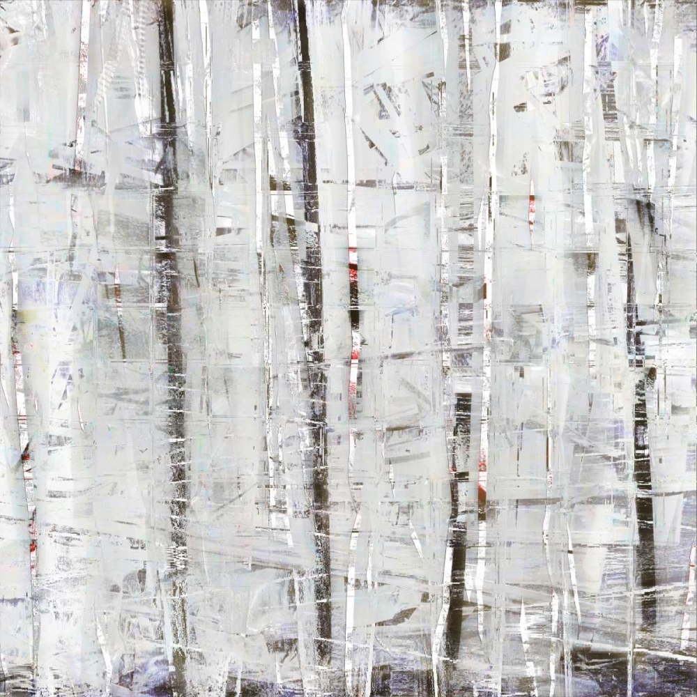 Birch Perspective Grey IV art print by John Bingham for $57.95 CAD