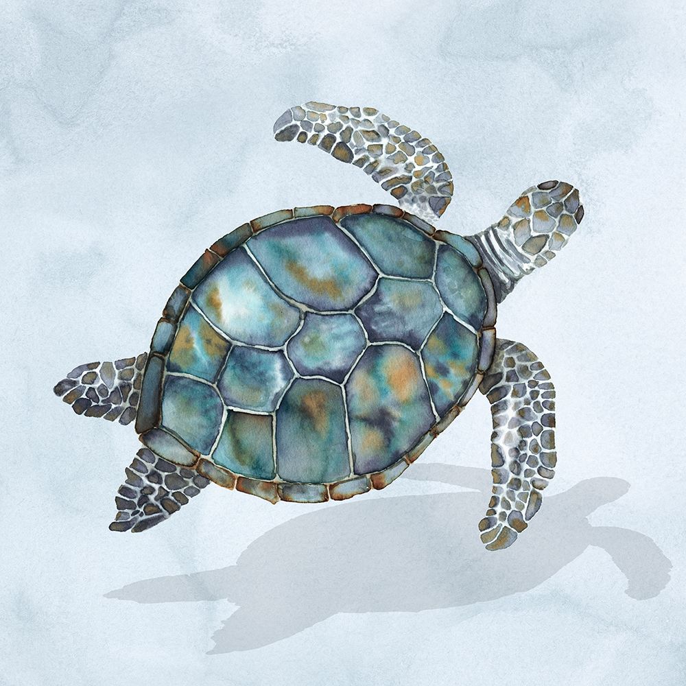 Blue Sea Turtle I art print by Errico And Slyp for $57.95 CAD