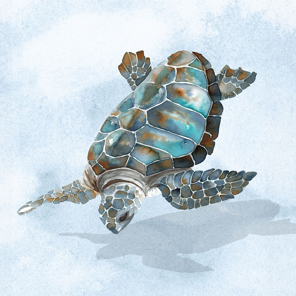 Blue Sea Turtle II art print by Errico And Slyp for $57.95 CAD