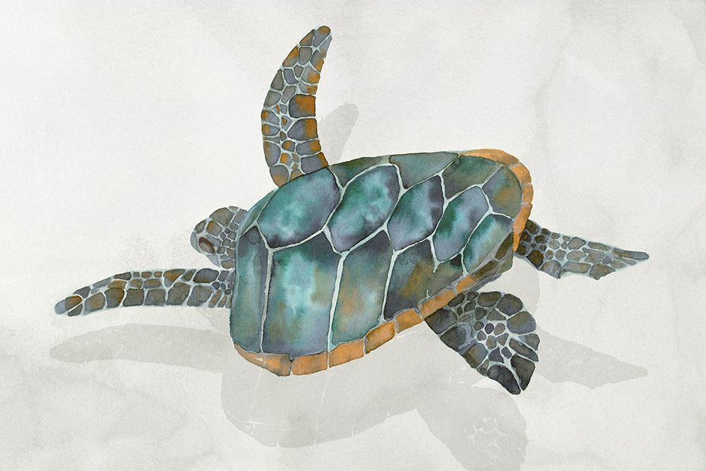 Coral Reef Turtle II art print by Errico And Slyp for $57.95 CAD