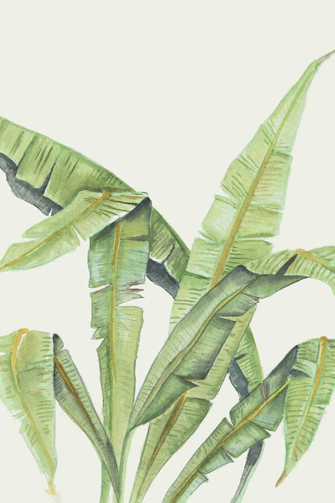 Anse Lazio by Elvia Errico art print by Errico And Slyp for $57.95 CAD