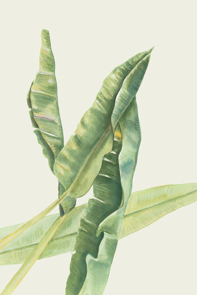 Foglie di banano by Elvira Errico art print by Errico And Slyp for $57.95 CAD