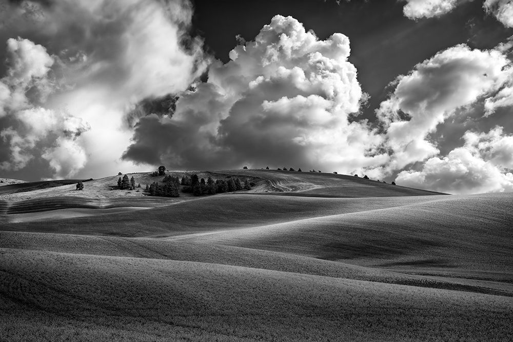 Palouse Bliss art print by Berk for $57.95 CAD