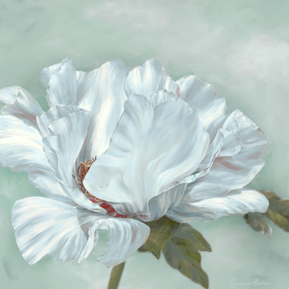 Precious Peony II art print by Marianne Broome for $57.95 CAD