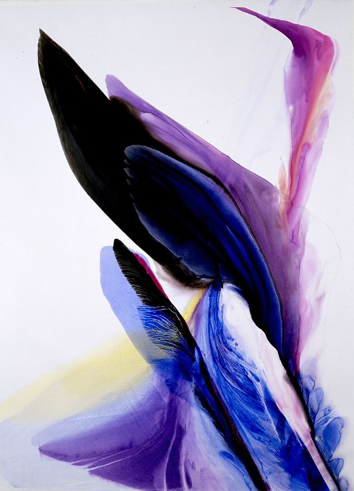 Winged Victory art print by Bette Ridgeway for $57.95 CAD