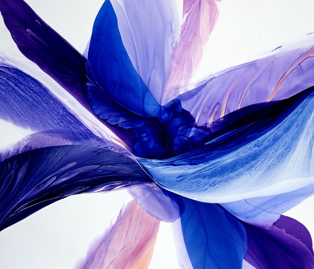 Convergence art print by Bette Ridgeway for $57.95 CAD
