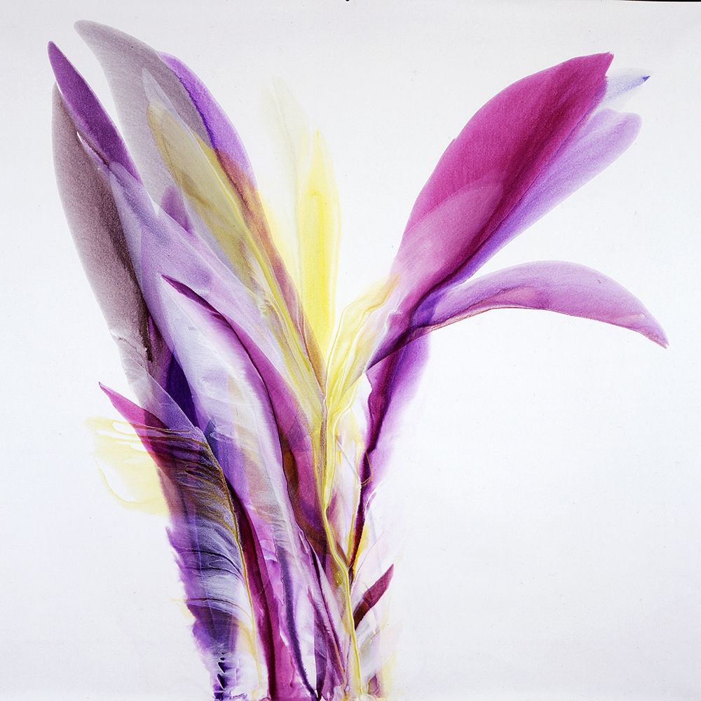 Ecstasy art print by Bette Ridgeway for $57.95 CAD