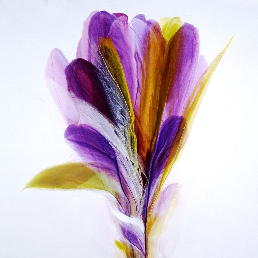 Memories art print by Bette Ridgeway for $57.95 CAD
