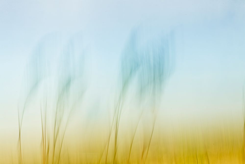 Sunset Air art print by Karin Connolly for $57.95 CAD