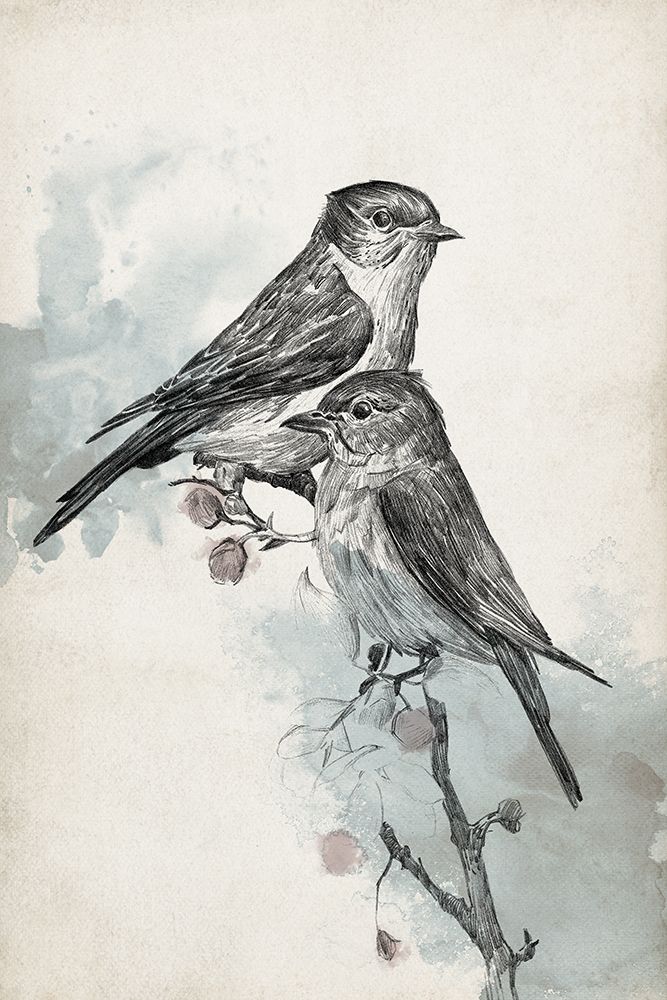 Two Blue Birds art print by Jacob Q for $57.95 CAD