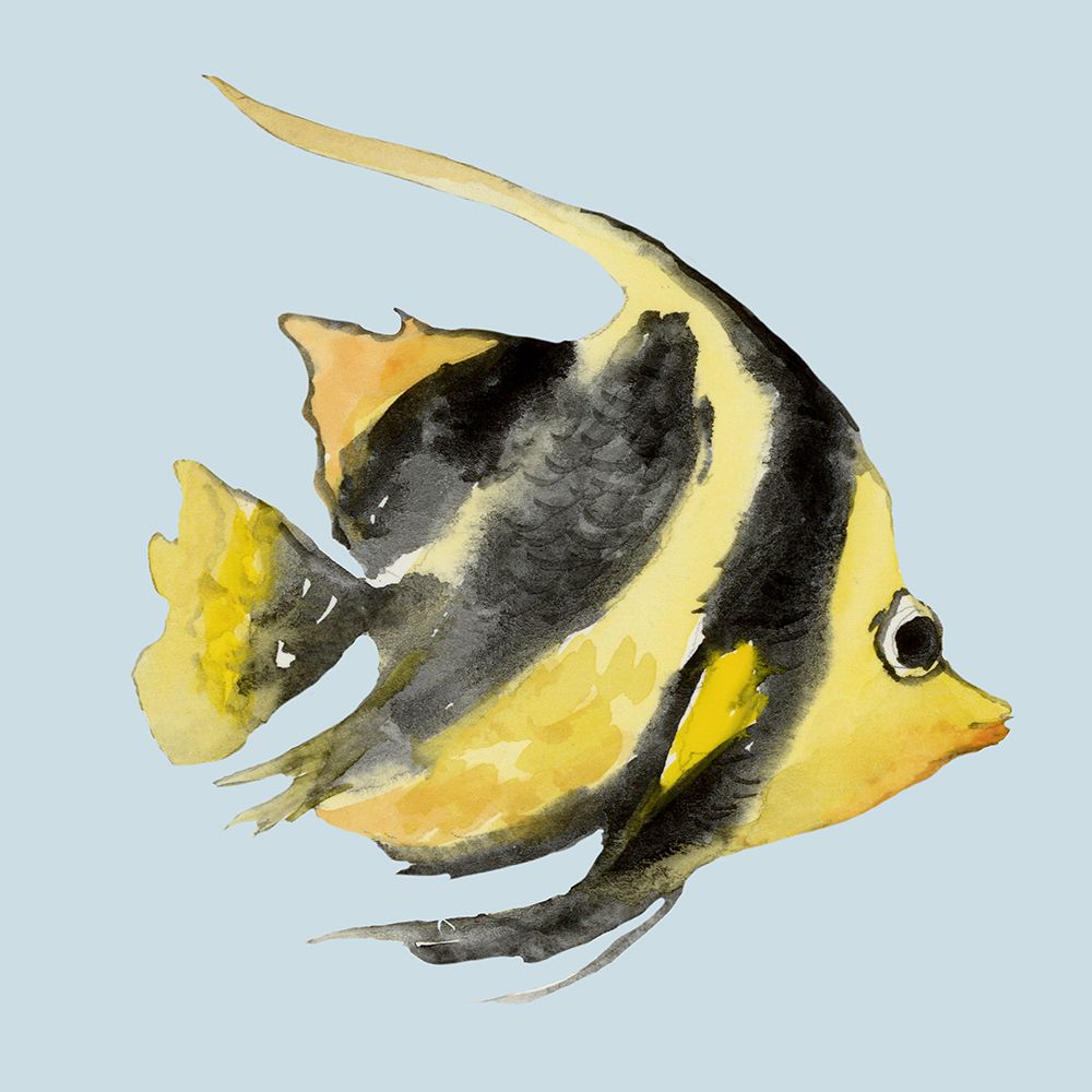 Angel Fish art print by Jacob Q for $57.95 CAD
