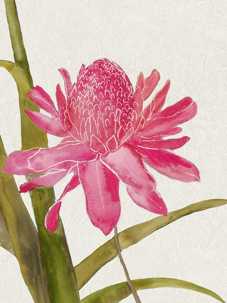 Red Ginger I art print by Jacob Q for $57.95 CAD