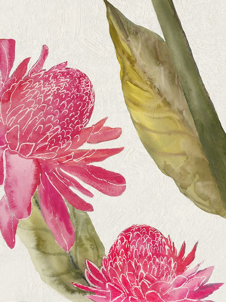 Red Ginger II art print by Jacob Q for $57.95 CAD