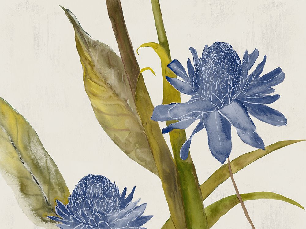 Blue Ginger art print by Jacob Q for $57.95 CAD