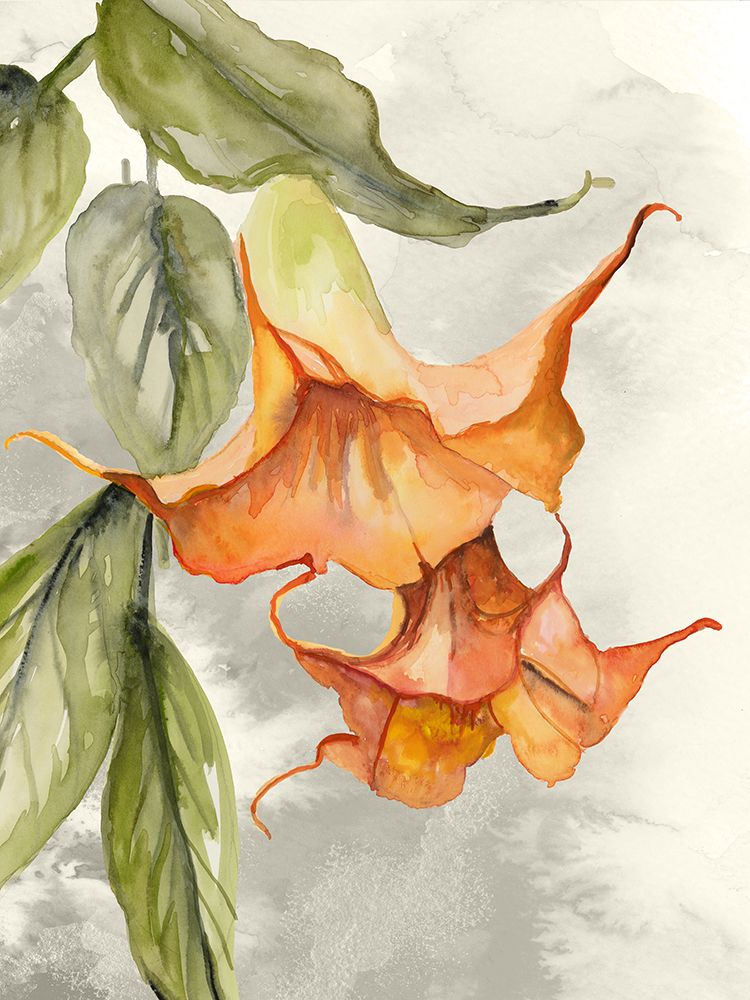 Orange Bell Flowers art print by Jacob Q for $57.95 CAD