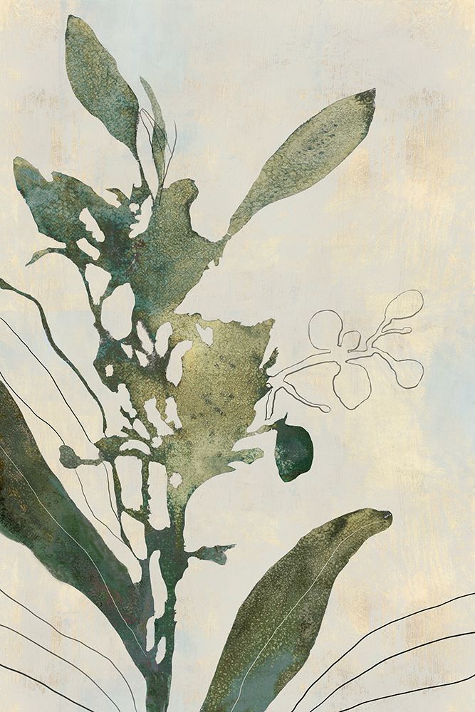 Salted Orchid art print by Jacob Q for $57.95 CAD
