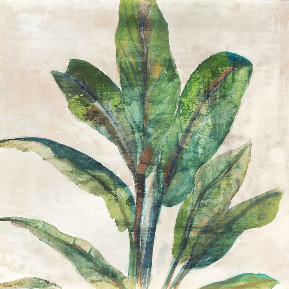 Banana Leaf I art print by Jacob Q for $57.95 CAD