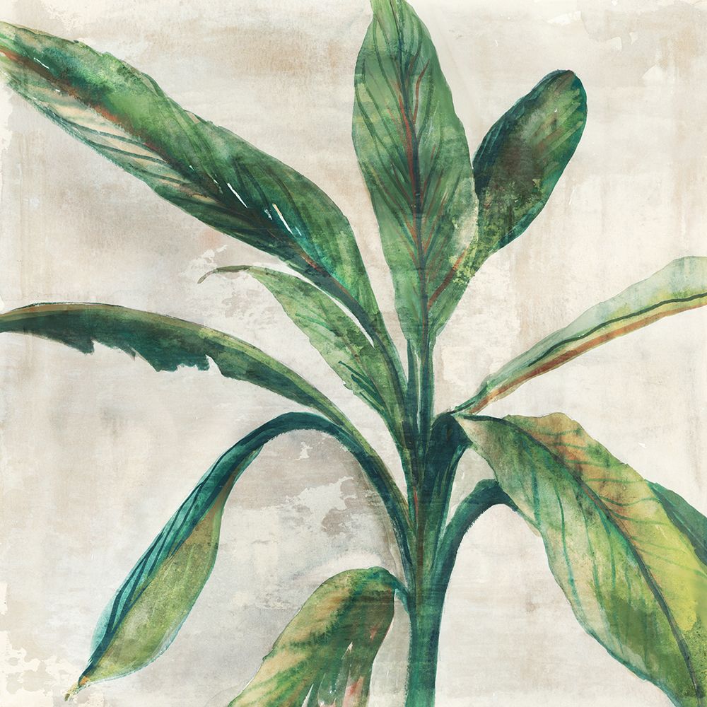 Banana Leaf II art print by Jacob Q for $57.95 CAD
