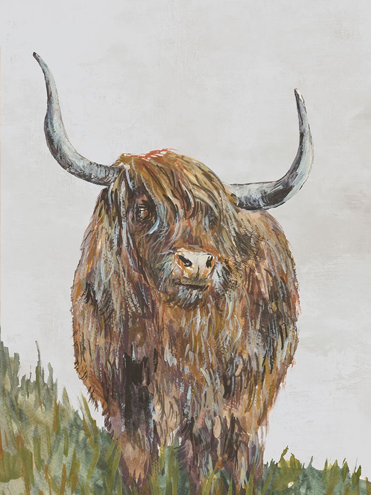 Highland Brown Cow art print by Jacob Q for $57.95 CAD