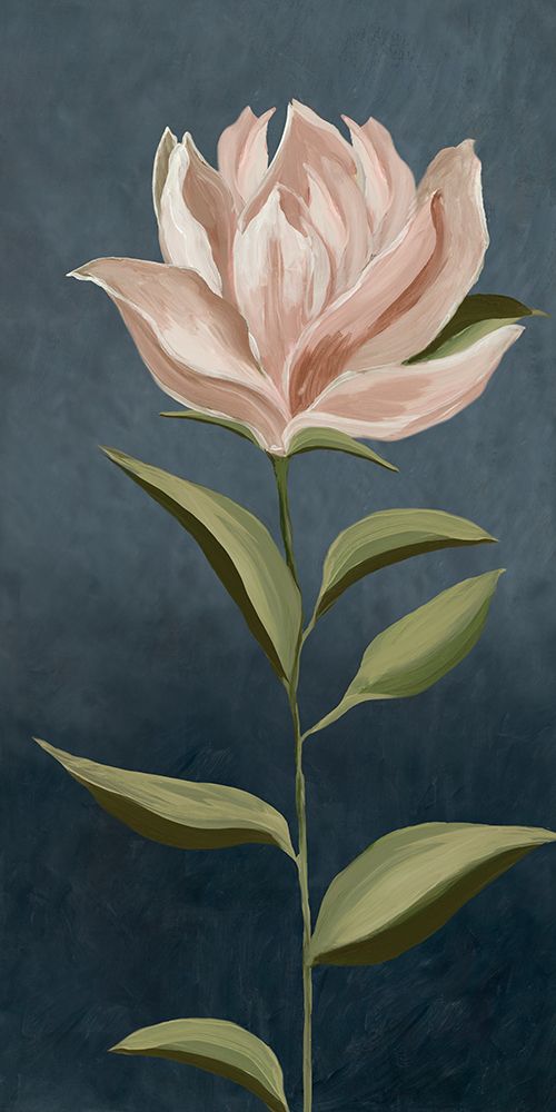 Pink Magnolia Flora II art print by Jacob Q for $57.95 CAD